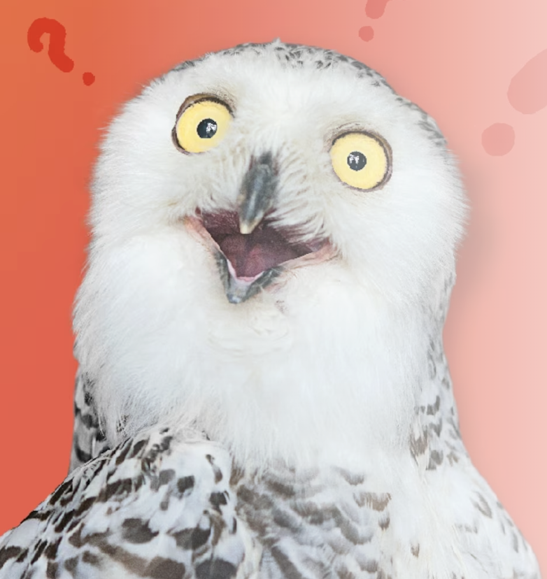 Screenshot 2025-11-14 at 1.27